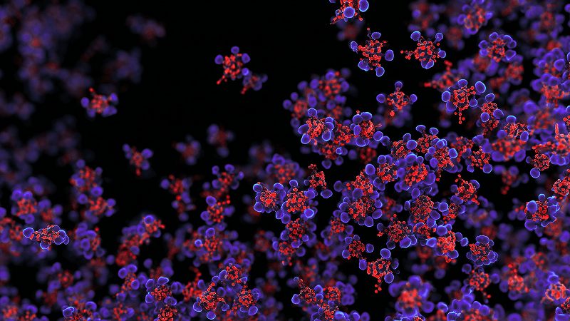 Patient-reported efficacy and toxicity in CAR T-cell therapy for multiple myeloma via Internet-based platforms