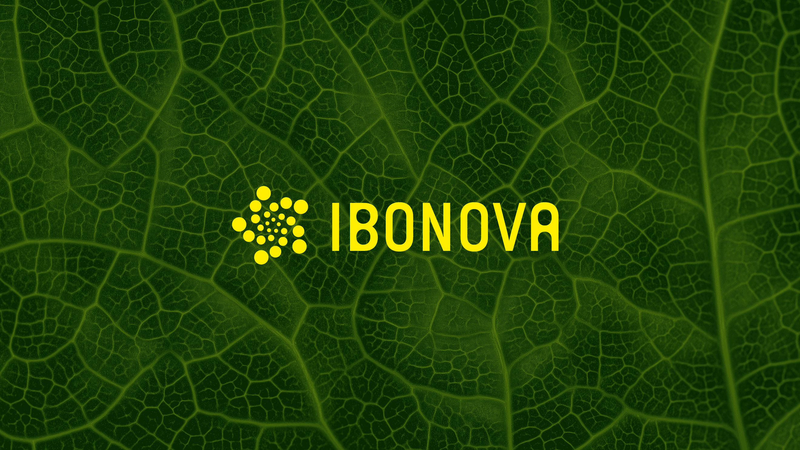 Ibonova project image